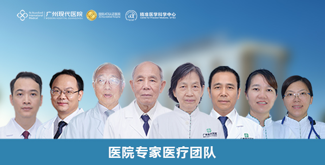 专家团队